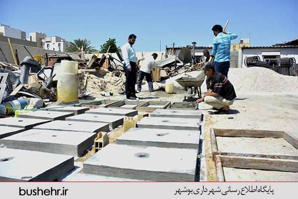 گزارش تصویری