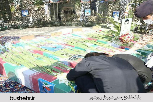 گزارش تصویری