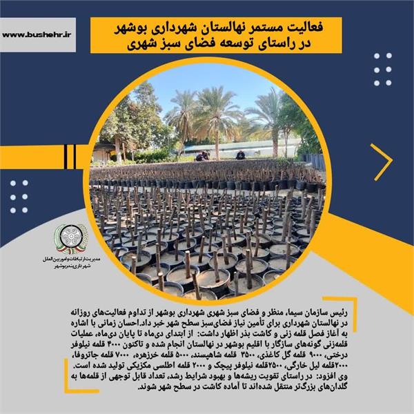 فعالیت مستمر نهالستان شهرداری بوشهر در راستای توسعه فضای سبز شهری