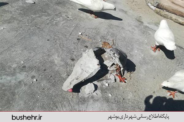 هر شهروند یک شهردار